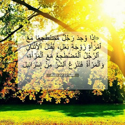 Picture 07 - اَلتَّثْنِيَة 22:22 AVD - «إِذَا وُجِدَ رَجُلٌ - Bible Verse Picture