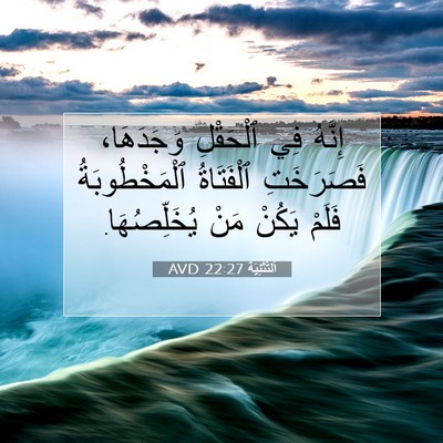 Picture 07 - اَلتَّثْنِيَة 22:27 AVD - إِنَّهُ فِي ٱلْحَقْلِ - Bible Verse Picture