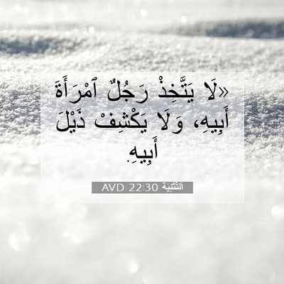 Picture 07 - اَلتَّثْنِيَة 22:30 AVD - «لَا يَتَّخِذْ رَجُلٌ - Bible Verse Picture