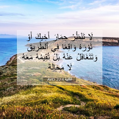 Picture 07 - اَلتَّثْنِيَة 22:4 AVD - لَا تَنْظُرْ حِمَارَ - Bible Verse Picture