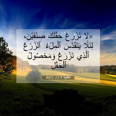 Picture 07 - اَلتَّثْنِيَة 22:9 AVD - «لَا تَزْرَعْ حَقْلَكَ - Bible Verse Picture