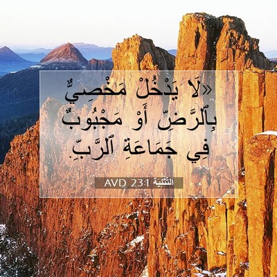 Picture 07 - اَلتَّثْنِيَة 23:1 AVD - «لَا يَدْخُلْ مَخْصِيٌّ - Bible Verse Picture