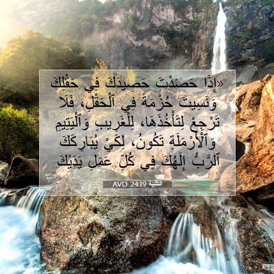 Picture 07 - اَلتَّثْنِيَة 24:19 AVD - «إِذَا حَصَدْتَ حَصِيدَكَ - Bible Verse Picture