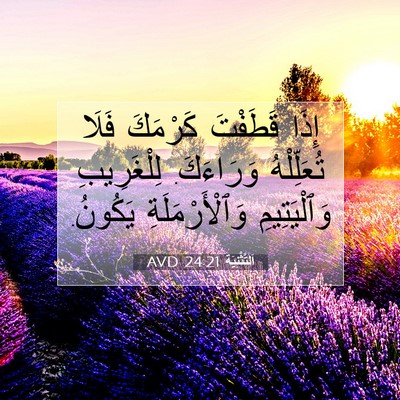 Picture 07 - اَلتَّثْنِيَة 24:21 AVD - إِذَا قَطَفْتَ كَرْمَكَ - Bible Verse Picture