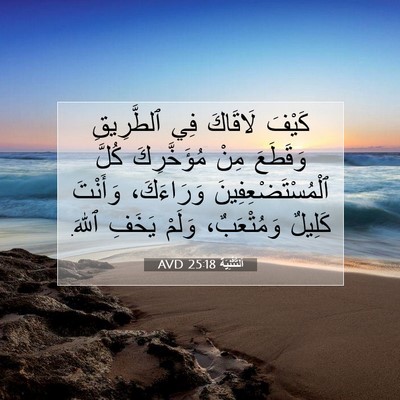 Picture 07 - اَلتَّثْنِيَة 25:18 AVD - كَيْفَ لَاقَاكَ فِي - Bible Verse Picture