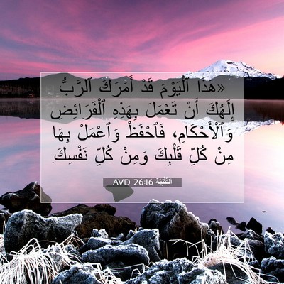 Picture 07 - اَلتَّثْنِيَة 26:16 AVD - «هَذَا ٱلْيَوْمَ قَدْ - Bible Verse Picture