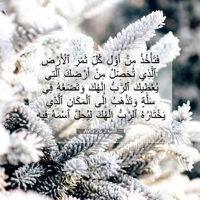Picture 07 - اَلتَّثْنِيَة 26:2 AVD - فَتَأْخُذُ مِنْ أَوَّلِ - Bible Verse Picture