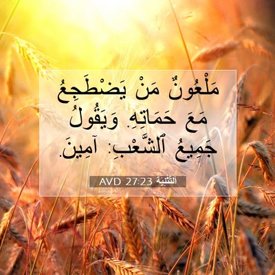 Picture 07 - اَلتَّثْنِيَة 27:23 AVD - مَلْعُونٌ مَنْ يَضْطَجِعُ - Bible Verse Picture
