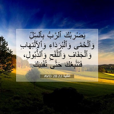 Picture 07 - اَلتَّثْنِيَة 28:22 AVD - يَضْرِبُكَ ٱلرَّبُّ - Bible Verse Picture