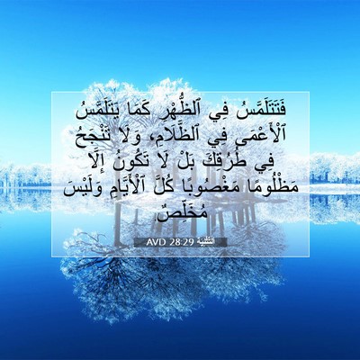 Picture 07 - اَلتَّثْنِيَة 28:29 AVD - فَتَتَلَمَّسُ فِي - Bible Verse Picture