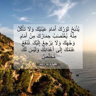 Picture 07 - اَلتَّثْنِيَة 28:31 AVD - يُذْبَحُ ثَوْرُكَ أَمَامَ - Bible Verse Picture