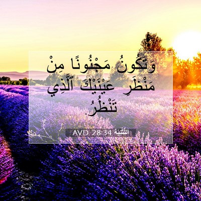 Picture 07 - اَلتَّثْنِيَة 28:34 AVD - وَتَكُونُ مَجْنُونًا مِنْ - Bible Verse Picture