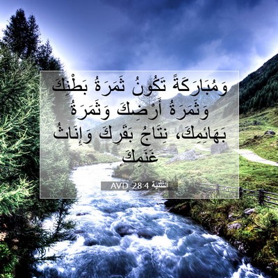 Picture 07 - اَلتَّثْنِيَة 28:4 AVD - وَمُبَارَكَةً تَكُونُ - Bible Verse Picture