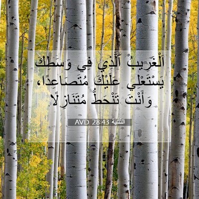 Picture 07 - اَلتَّثْنِيَة 28:43 AVD - اَلْغَرِيبُ ٱلَّذِي فِي - Bible Verse Picture