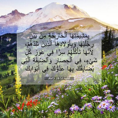 Picture 07 - اَلتَّثْنِيَة 28:57 AVD - بِمَشِيمَتِهَا - Bible Verse Picture