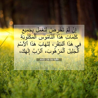 Picture 07 - اَلتَّثْنِيَة 28:58 AVD - إِنْ لَمْ تَحْرِصْ - Bible Verse Picture