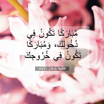 Picture 07 - اَلتَّثْنِيَة 28:6 AVD - مُبَارَكًا تَكُونُ فِي - Bible Verse Picture