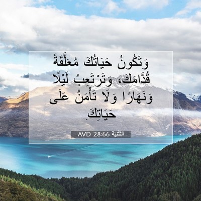 Picture 07 - اَلتَّثْنِيَة 28:66 AVD - وَتَكُونُ حَيَاتُكَ - Bible Verse Picture