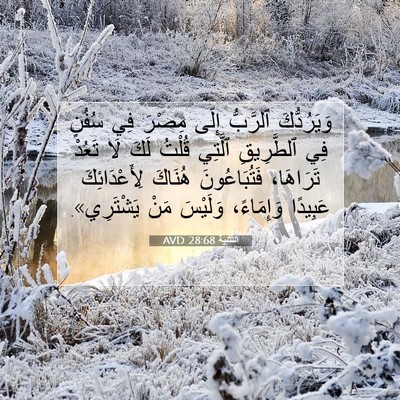 Picture 07 - اَلتَّثْنِيَة 28:68 AVD - وَيَرُدُّكَ ٱلرَّبُّ - Bible Verse Picture