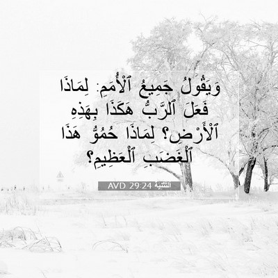 Picture 07 - اَلتَّثْنِيَة 29:24 AVD - وَيَقُولُ جَمِيعُ - Bible Verse Picture