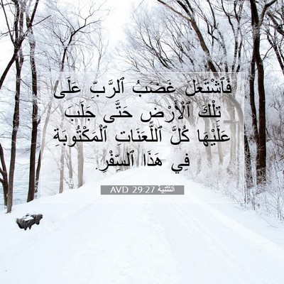 Picture 07 - اَلتَّثْنِيَة 29:27 AVD - فَٱشْتَعَلَ غَضَبُ - Bible Verse Picture