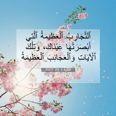 Picture 07 - اَلتَّثْنِيَة 29:3 AVD - ٱلتَّجَارِبُ ٱلْعَظِيمَةُ - Bible Verse Picture