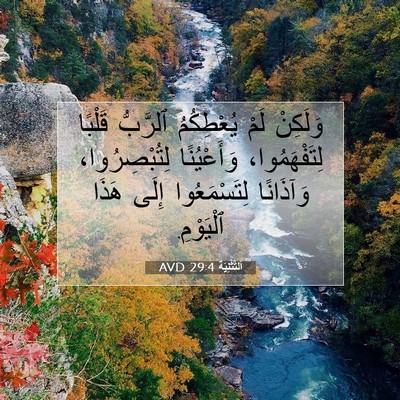 Picture 07 - اَلتَّثْنِيَة 29:4 AVD - وَلَكِنْ لَمْ يُعْطِكُمُ - Bible Verse Picture