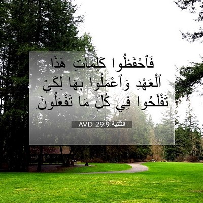 Picture 07 - اَلتَّثْنِيَة 29:9 AVD - فَٱحْفَظُوا كَلِمَاتِ - Bible Verse Picture