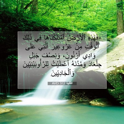Picture 07 - اَلتَّثْنِيَة 3:12 AVD - «فَهَذِهِ ٱلْأَرْضُ - Bible Verse Picture