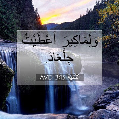 Picture 07 - اَلتَّثْنِيَة 3:15 AVD - وَلِمَاكِيرَ أَعْطَيْتُ - Bible Verse Picture