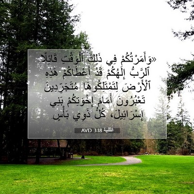 Picture 07 - اَلتَّثْنِيَة 3:18 AVD - «وَأَمَرْتُكُمْ فِي - Bible Verse Picture