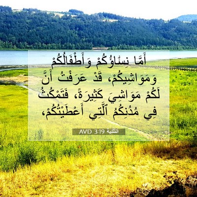 Picture 07 - اَلتَّثْنِيَة 3:19 AVD - أَمَّا نِسَاؤُكُمْ - Bible Verse Picture