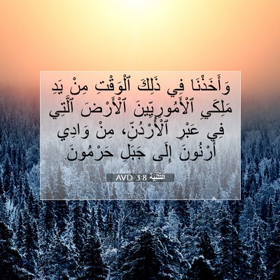 Picture 07 - اَلتَّثْنِيَة 3:8 AVD - وَأَخَذْنَا فِي ذَلِكَ - Bible Verse Picture
