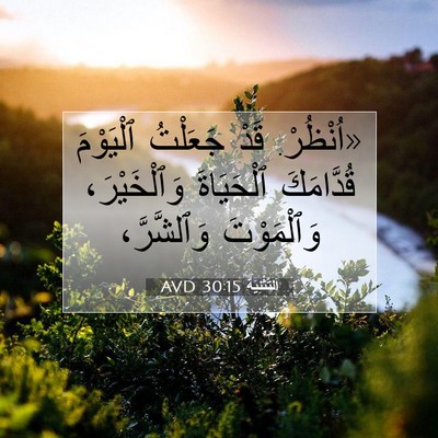 Picture 07 - اَلتَّثْنِيَة 30:15 AVD - «اُنْظُرْ. قَدْ جَعَلْتُ - Bible Verse Picture