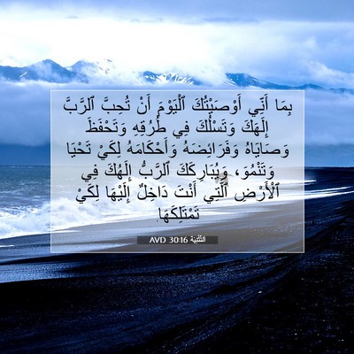 Picture 07 - اَلتَّثْنِيَة 30:16 AVD - بِمَا أَنِّي أَوْصَيْتُكَ - Bible Verse Picture