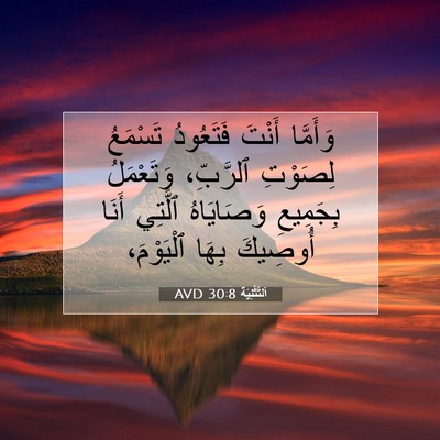 Picture 07 - اَلتَّثْنِيَة 30:8 AVD - وَأَمَّا أَنْتَ فَتَعُودُ - Bible Verse Picture