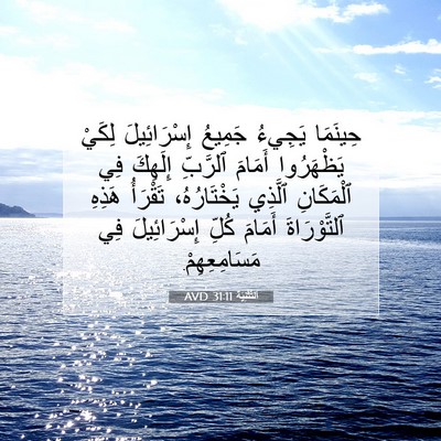 Picture 07 - اَلتَّثْنِيَة 31:11 AVD - حِينَمَا يَجِيءُ جَمِيعُ - Bible Verse Picture