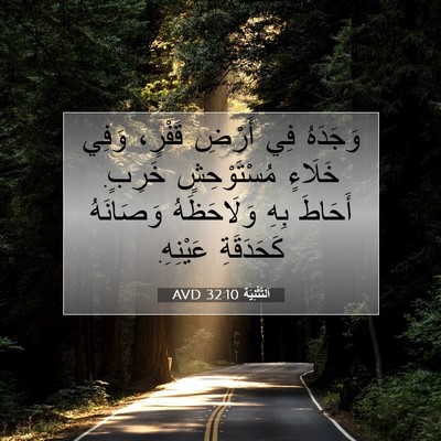 Picture 07 - اَلتَّثْنِيَة 32:10 AVD - وَجَدَهُ فِي أَرْضِ - Bible Verse Picture