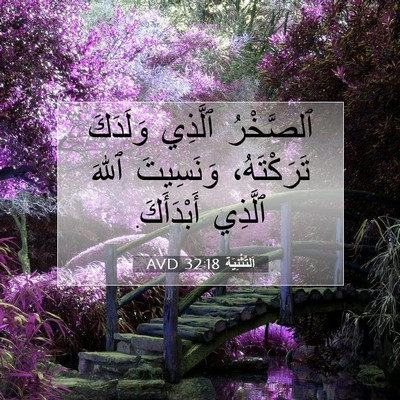 Picture 07 - اَلتَّثْنِيَة 32:18 AVD - ٱلصَّخْرُ ٱلَّذِي - Bible Verse Picture
