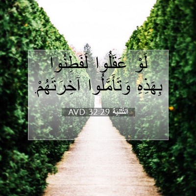 Picture 07 - اَلتَّثْنِيَة 32:29 AVD - لَوْ عَقَلُوا لَفَطِنُوا - Bible Verse Picture