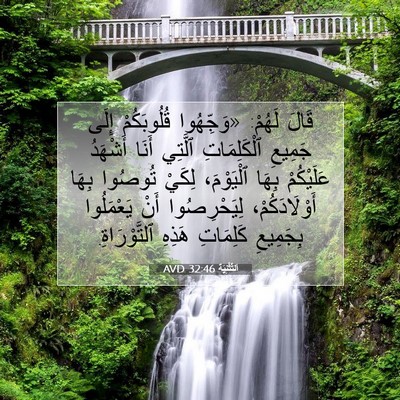Picture 07 - اَلتَّثْنِيَة 32:46 AVD - قَالَ لَهُمْ: «وَجِّهُوا - Bible Verse Picture