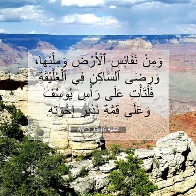 Picture 07 - اَلتَّثْنِيَة 33:16 AVD - وَمِنْ نَفَائِسِ - Bible Verse Picture