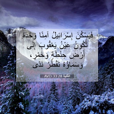 Picture 07 - اَلتَّثْنِيَة 33:28 AVD - فَيَسْكُنَ إِسْرَائِيلُ - Bible Verse Picture