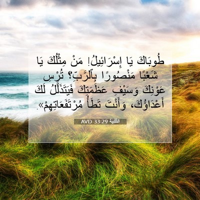 Picture 07 - اَلتَّثْنِيَة 33:29 AVD - طُوبَاكَ يَا إِسْرَائِيلُ! - Bible Verse Picture