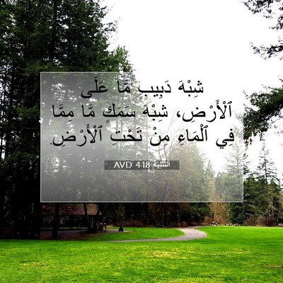 Picture 07 - اَلتَّثْنِيَة 4:18 AVD - شِبْهَ دَبِيبٍ مَّا عَلَى - Bible Verse Picture