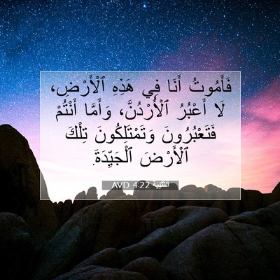 Picture 07 - اَلتَّثْنِيَة 4:22 AVD - فَأَمُوتُ أَنَا فِي هَذِهِ - Bible Verse Picture