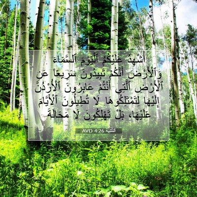 Picture 07 - اَلتَّثْنِيَة 4:26 AVD - أُشْهِدُ عَلَيْكُمُ - Bible Verse Picture