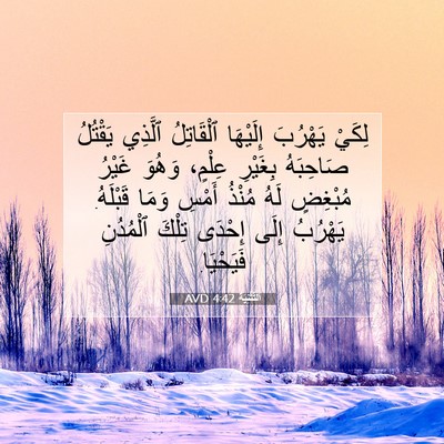 Picture 07 - اَلتَّثْنِيَة 4:42 AVD - لِكَيْ يَهْرُبَ إِلَيْهَا - Bible Verse Picture