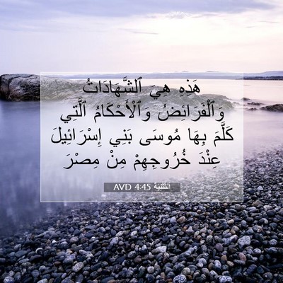 Picture 07 - اَلتَّثْنِيَة 4:45 AVD - هَذِهِ هِيَ ٱلشَّهَادَاتُ - Bible Verse Picture