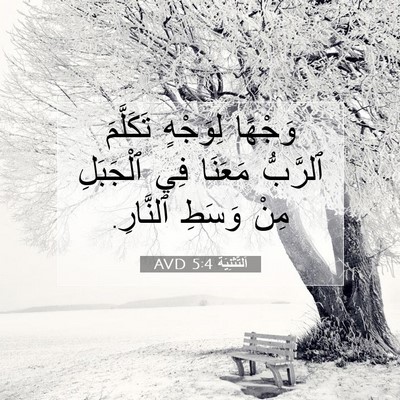 Picture 07 - اَلتَّثْنِيَة 5:4 AVD - وَجْهًا لِوَجْهٍ - Bible Verse Picture